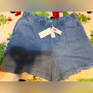 Z Supply High Waist Denim Blue Shorts